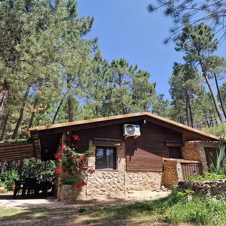 Riópar Cabana En Plena Naturaleza Parque Natural Rio Mundo المظهر الخارجي الصورة