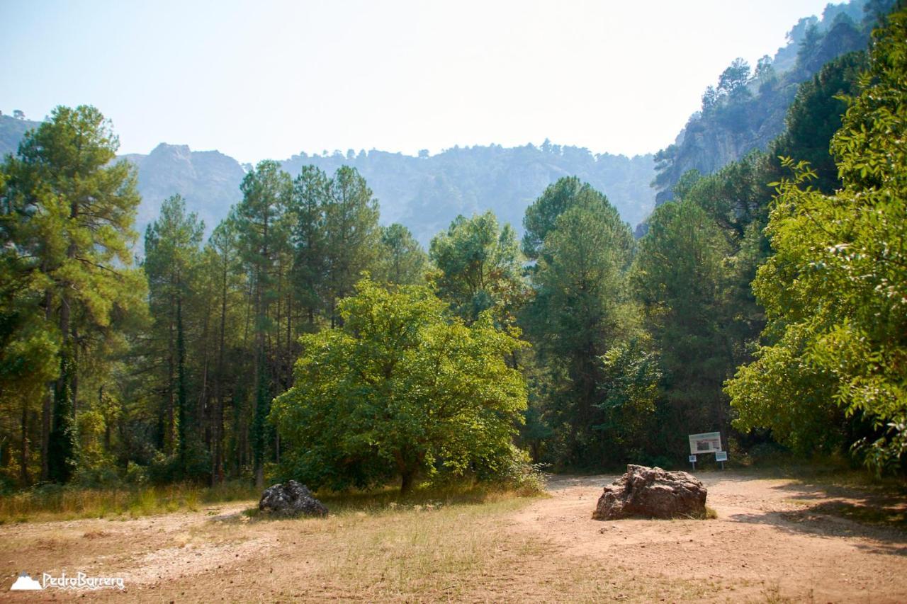 Riópar Cabana En Plena Naturaleza Parque Natural Rio Mundo المظهر الخارجي الصورة