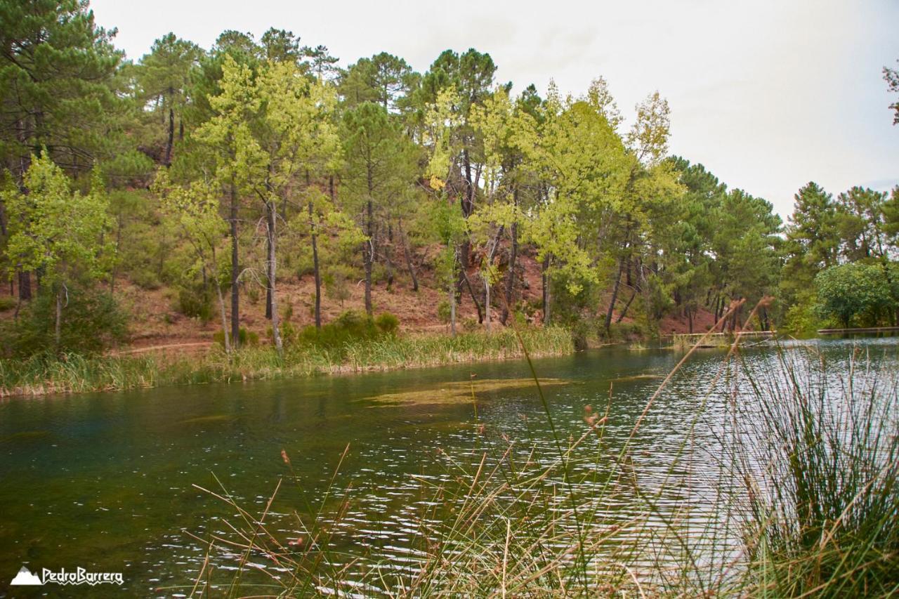 Riópar Cabana En Plena Naturaleza Parque Natural Rio Mundo المظهر الخارجي الصورة