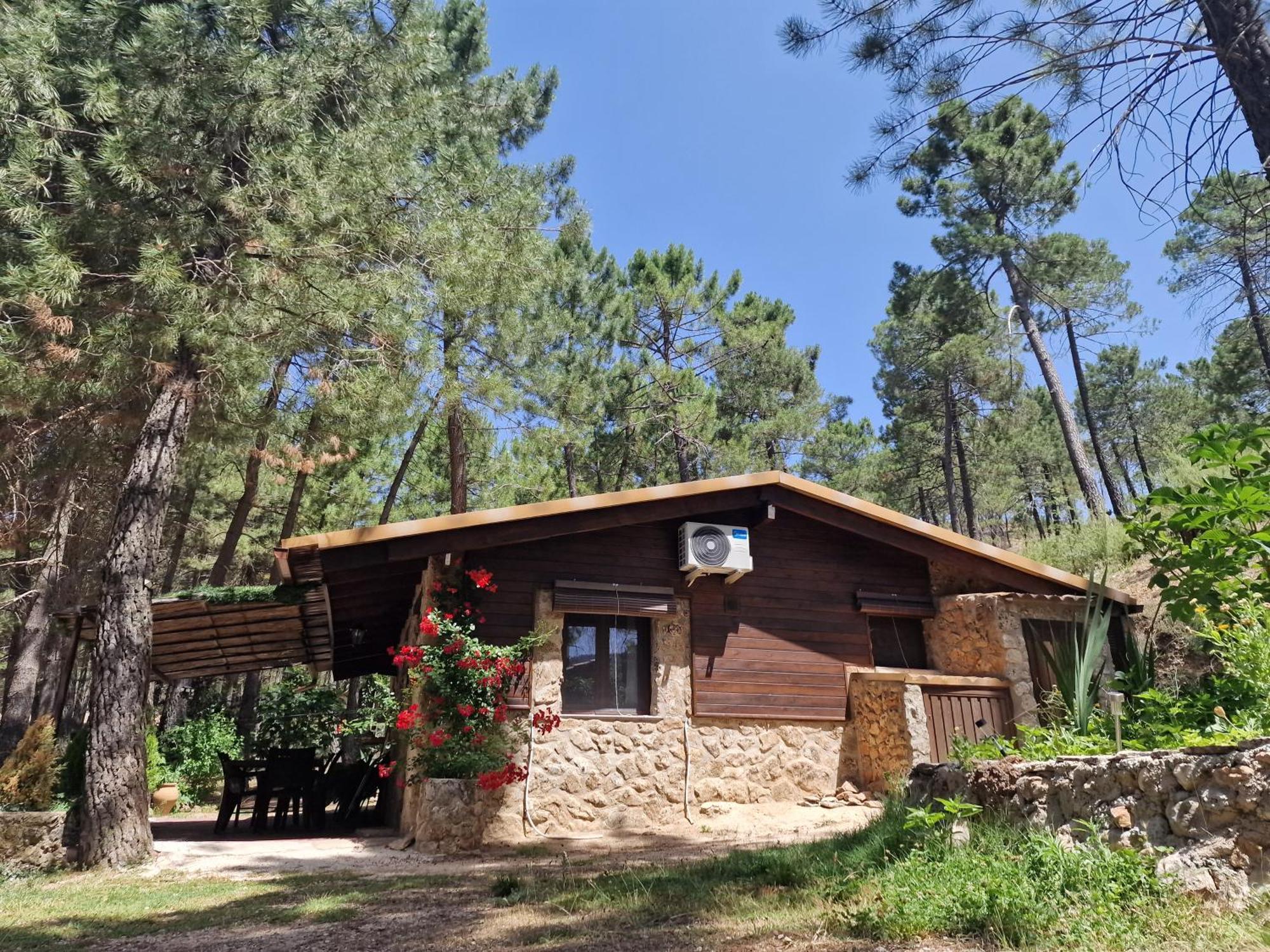 Riópar Cabana En Plena Naturaleza Parque Natural Rio Mundo المظهر الخارجي الصورة