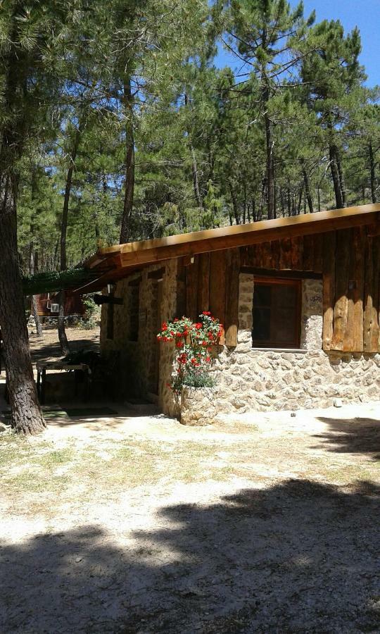 Riópar Cabana En Plena Naturaleza Parque Natural Rio Mundo المظهر الخارجي الصورة