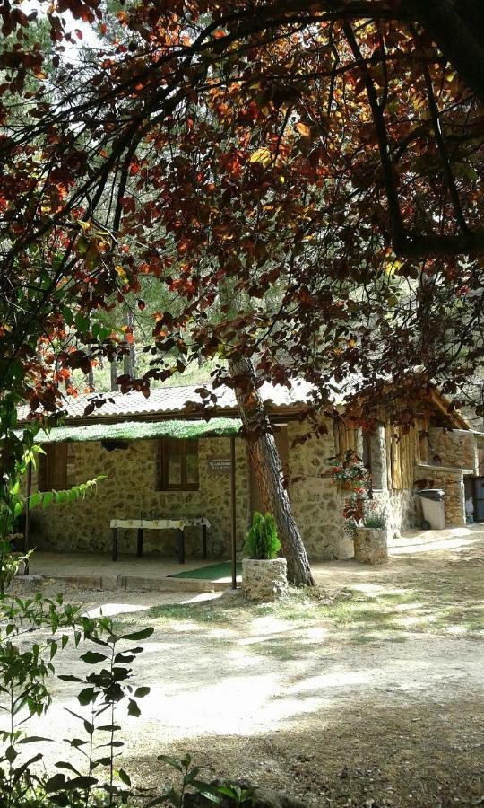 Riópar Cabana En Plena Naturaleza Parque Natural Rio Mundo المظهر الخارجي الصورة