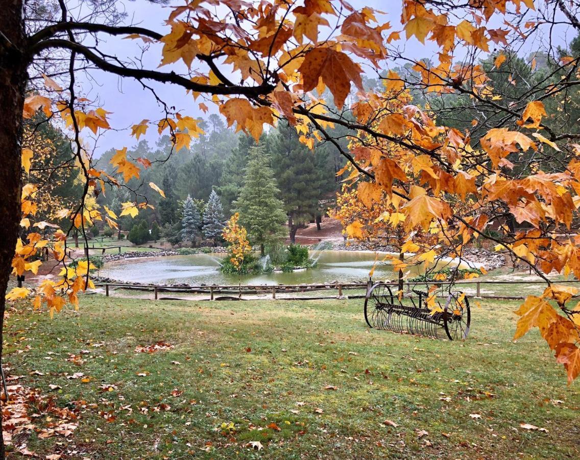 Riópar Cabana En Plena Naturaleza Parque Natural Rio Mundo الغرفة الصورة